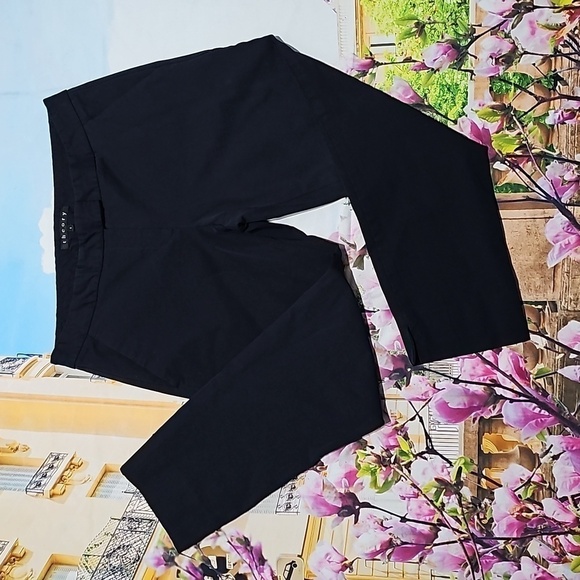Theory Low Waisted Cropped Pants Size‎ 6 - Picture 1 of 6